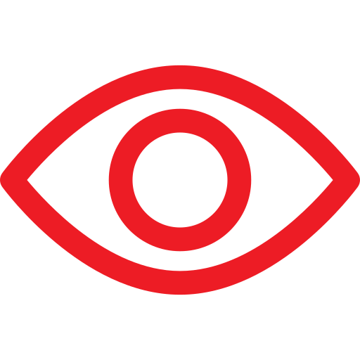 password-icon